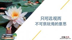 只可远观不可亵玩焉什么意思