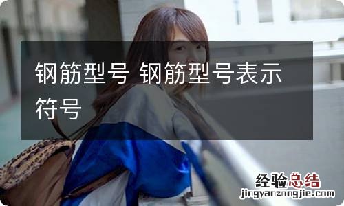 钢筋型号 钢筋型号表示符号