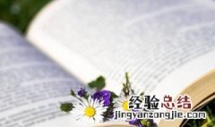 女生网名英文简单唯美 女生简单唯美的英文欧美网名