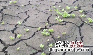 塘泥要晒多久 塘泥要晒多久才会干