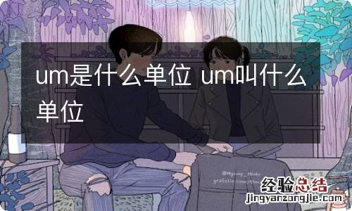 um是什么单位 um叫什么单位