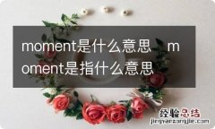 moment是什么意思moment是指什么意思