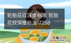 轮胎花纹深度标准 轮胎花纹深度标准 7258