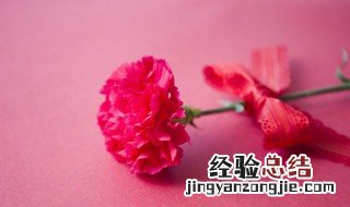 给女性长辈送什么花 给女长辈送花送什么