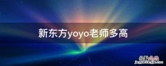 新东方yoyo老师多高