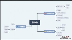 生物学中系统的概念是什么