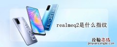 realmeq2是什么指纹