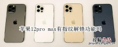 苹果12pro max有指纹解锁功能吗