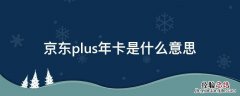 京东plus年卡是什么意思