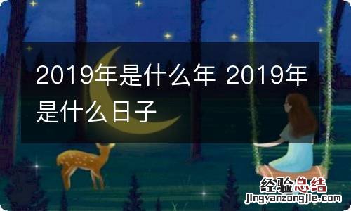 2019年是什么年 2019年是什么日子