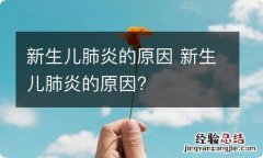 新生儿肺炎的原因 新生儿肺炎的原因?