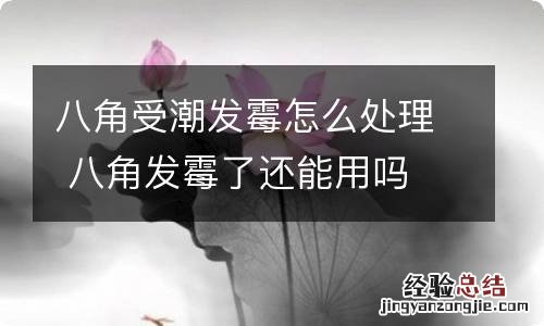 八角受潮发霉怎么处理 八角发霉了还能用吗