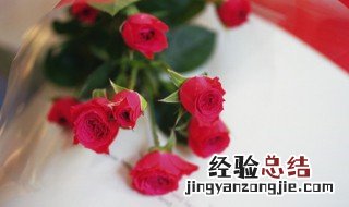 新鲜玫瑰花可以泡澡吗 玫瑰花可以用来泡澡吗