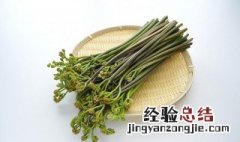 蕨菜能冰冻吗 蕨菜可以冻成冰块保存吗