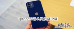 iphone12怎么开启画中画