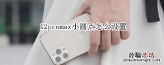 12promax小圆点怎么设置