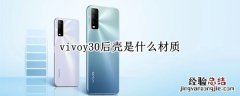 vivoy30后壳是什么材质