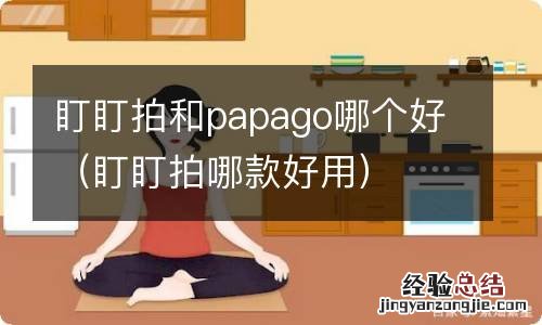 盯盯拍哪款好用 盯盯拍和papago哪个好