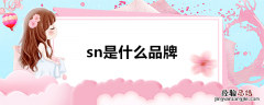 sn是什么品牌