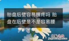 胎盘后壁容易腰疼吗 胎盘在后壁是不是容易腰疼