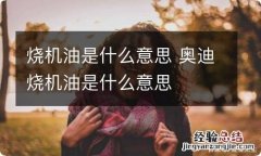 烧机油是什么意思 奥迪烧机油是什么意思