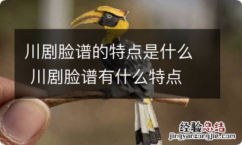 川剧脸谱的特点是什么 川剧脸谱有什么特点