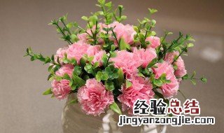 康乃馨插花怎么保养 康乃馨插花养护保鲜技巧