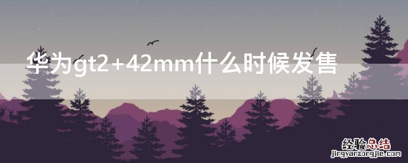 华为gt2手表功能介绍 华为gt2