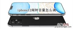 iphone12闹钟音量怎么调