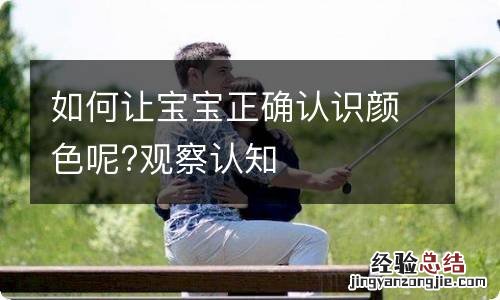 如何让宝宝正确认识颜色呢?观察认知