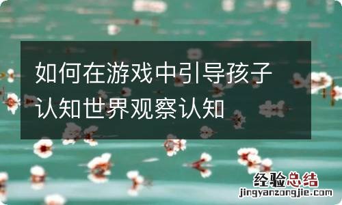 如何在游戏中引导孩子认知世界观察认知