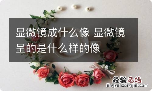 显微镜成什么像 显微镜呈的是什么样的像
