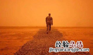 感悟生命脆弱的句子 感悟生命脆弱的句子有哪些