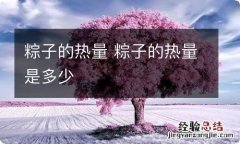 粽子的热量 粽子的热量是多少