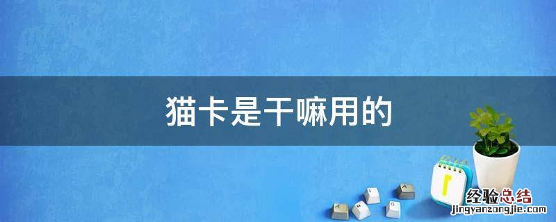 猫卡是干嘛用的