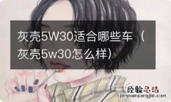 灰壳5w30怎么样 灰壳5W30适合哪些车