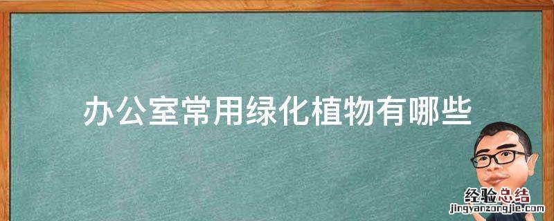 办公室常用绿化植物有哪些