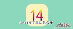 ios14打字震动怎么开