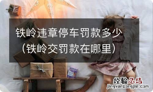 铁岭交罚款在哪里 铁岭违章停车罚款多少