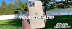 苹果12promax怎么录屏