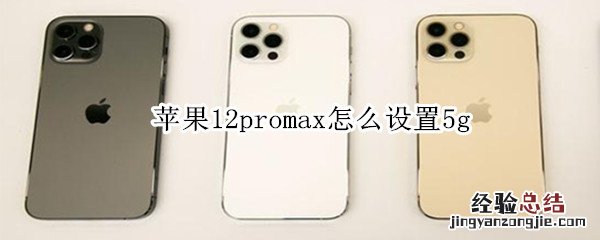 苹果12promax怎么设置5g