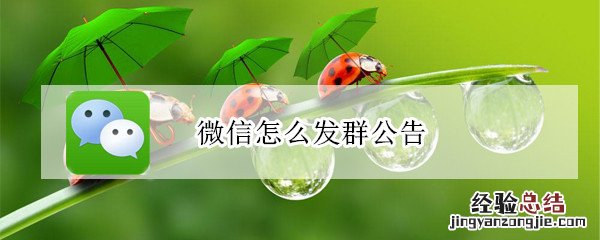 微信怎么发群公告