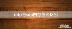 ddp与sdp内存怎么区别