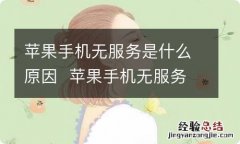 苹果手机无服务是什么原因苹果手机无服务是怎么回事