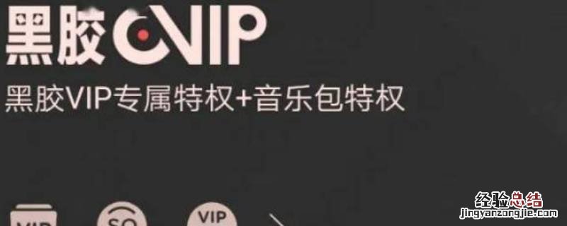 黑胶vip是什么意思