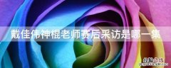 戴佳伟神棍老师赛后采访是哪一集