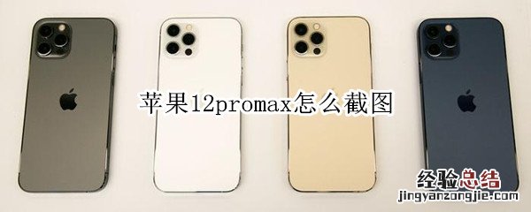 苹果12promax怎么截图