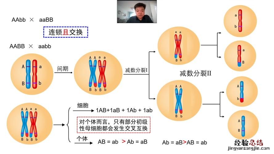 标记基因位于哪里