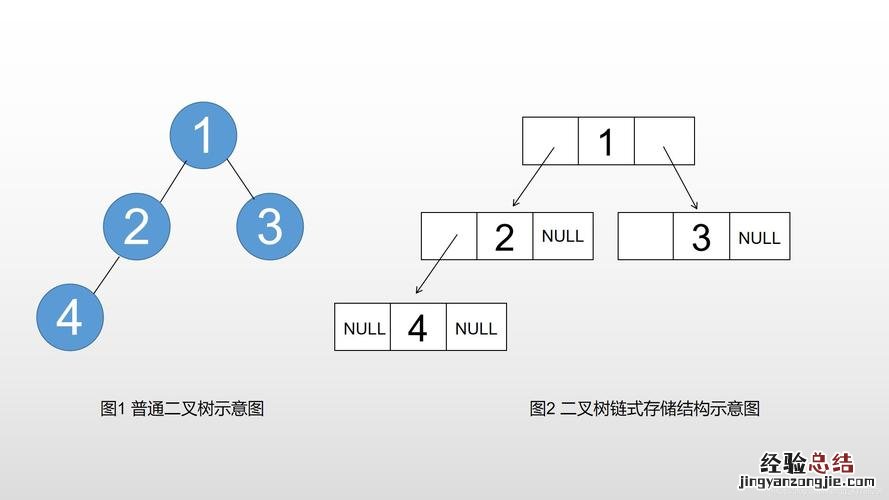 二叉树节点值是什么意思