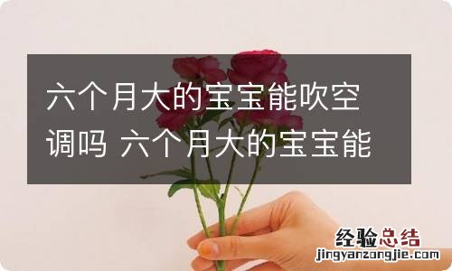 六个月大的宝宝能吹空调吗 六个月大的宝宝能吹空调吗冬天